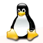 Linux: Tăng trưởng mạnh tại Trung Quốc