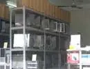 ‘Lên đời’ màn hình máy tính với LCD second hand