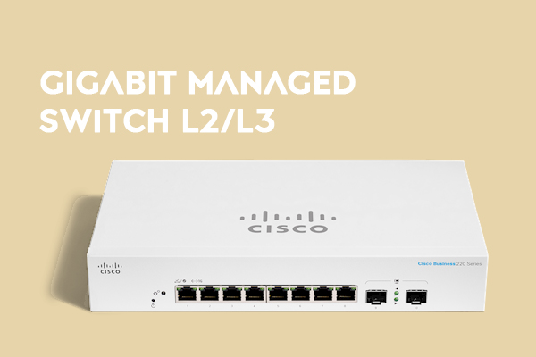 GIGABIT MANAGED SWITCH L2/L3