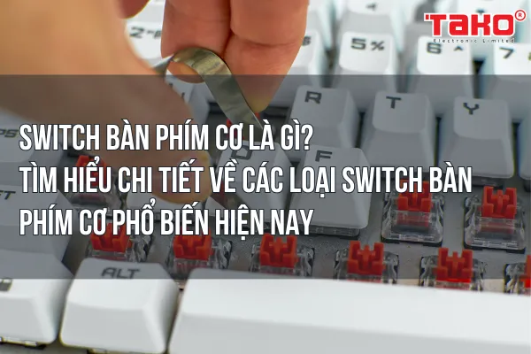 Switch bàn phím cơ là gì? Tìm hiểu chi tiết về các loại switch bàn phím cơ phổ biến hiện nay