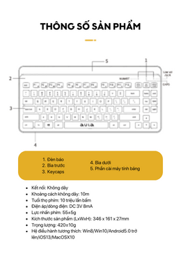 aula AWK310 BÀN PHÍM KHÔNG DÂY